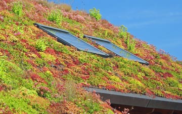 Hartford End living roof systems